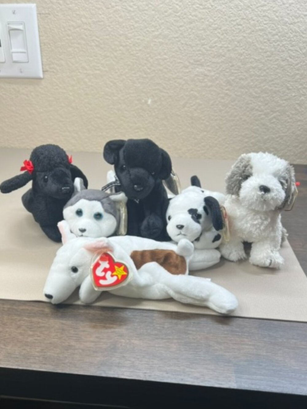 Ty Beanie Babies - 6 Dog Bundle - Excellent Condition